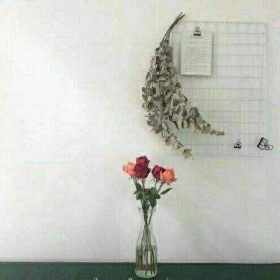 满堂彩手机app下载